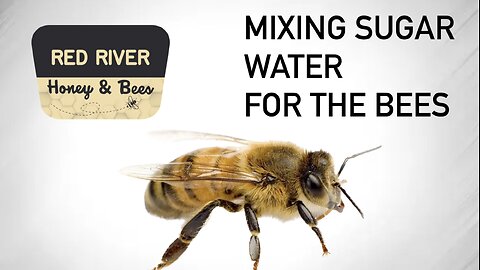 Mixing Sugar Water for Bees | Feeding Honey Bees | Red River Honey and Bees | Red River Gorge, KY