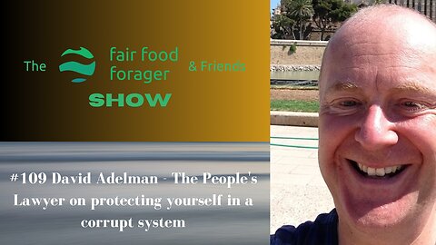 #109 David Adelman - The People's Lawyer on protecting yourself in a corrupt system