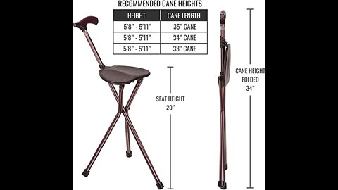 Walking Stick Cum Chair