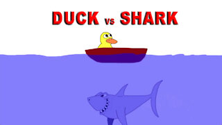 Duck vs Shark