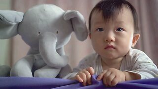 Babies playing with Animals