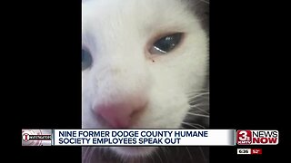 Allegations of animal abuse, harassment fly in Fremont over humane society controversy