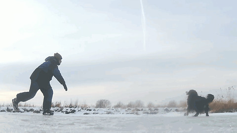 Playing With Bernese Mountain Dog On A Frozen Lake