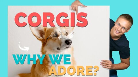 2023 Top Reasons to Adore Corgis: They're the Cutest Dogs Ever!