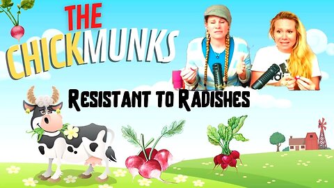 HILARIOUS!!! CHICKMUNKS: Resistant to Radishes