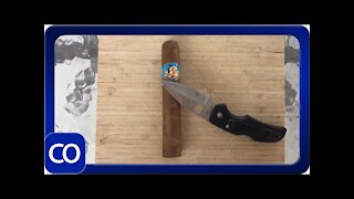 Cigar Dissection Rosa Cuba