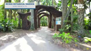 McKee Botanical Garden in Vero Beach, FL | Giant Adventure