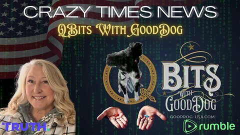 CRAZY TIMES NEWS - QBits With GoodDog