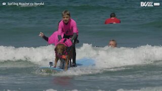 Cane surfista aiuta bimbo autistico in acqua