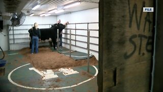 Livestock Lessons: looking for kids to show what they know