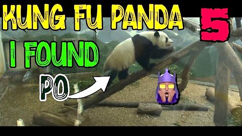 The Real Life KUNG Fu Panda