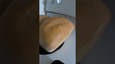 White Bread from Scratch