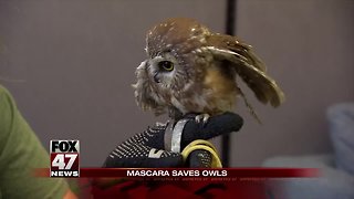 Wildlife center asks for mascara brush donations