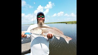 Sight Fishing for Redfish in Myrtle Grove, LA...Texas Style!