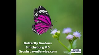 Butterfly Garden Smithsburg MD Landscaping Contractor Design Build