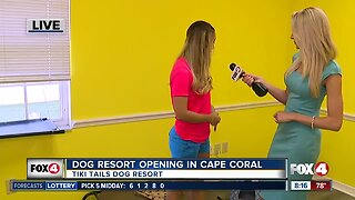 Tiki Tails Dog Resort opening in Cape Coral 8:00 a.m.