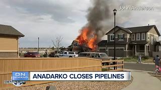 Top stories: Trump pardon, Anadarko pipelines, Colorado Spelling Bee contestants