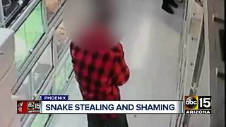 Thieves caught on video stealing snakes in unusual way