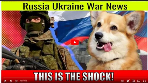 THIS IS THE SHOCK! Russian occupiers started eating dogs because of supply problems