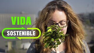 Consejos para ayudar al medio ambiente desde el trabajo