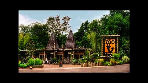 Nashville Zoo Walkthrough