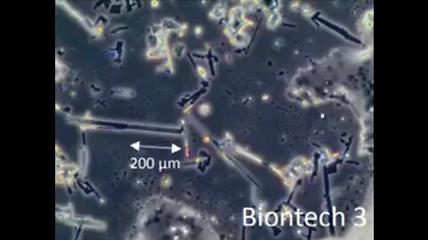 Self-Assembly Nanostructures in BioNTech, Astra Zeneca, J&J and Moderna vials