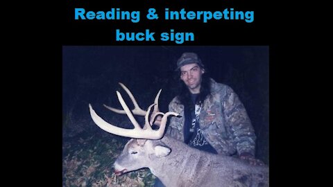 Reading and Interpreting Buck Sign