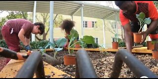 Woman teaches West Palm Beach students how to garden, grow their futures