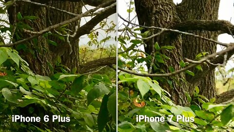 Comparing video and zoom on the Apple iPhone 7 Plus vs iPhone 6 Plus