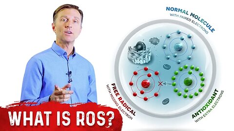 What Are Reactive Oxygen Species (ROS)? - Dr. Berg