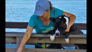 Pit Bull excited about fishing meets fisherman