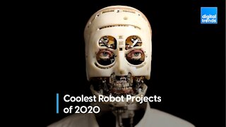 Robots progressed by leaps and bounds in 2020. These were the highlights