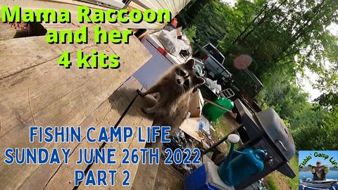 🐟Fishin Camp Life🏕️ - Sunday June 26Th 2022 - Part 2 - Mama raccoon and her 4 kits.