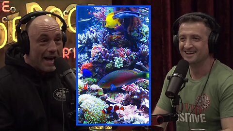 The Aquarium Heist Story | Joe Rogan Experience w/ Michael Malice