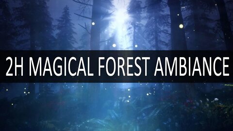 2H Magical Fantasy Forest Ambiance – Hypnotic Sounds to Help You Fall asleep