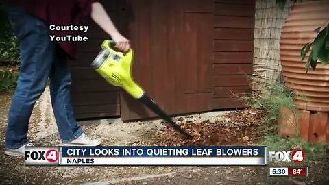 City tackles issue of noisy leaf blowers