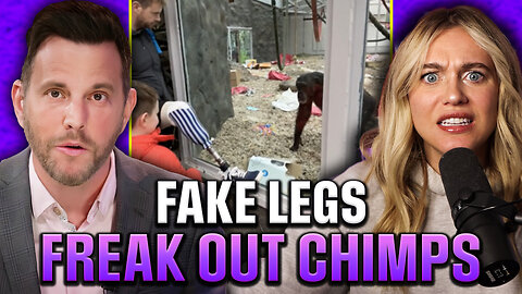 Chimps Have Bizarre Reaction to Prosthetic Legs | Dave Rubin & Isabel Brown