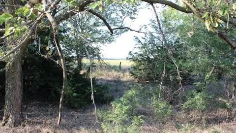 Public Land Hunting Tips For Kansas Whitetail Deer