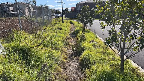 Is this the WORLD'S WORST maintained footpath? I clean it up for the public to use!