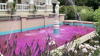 Pink fountain on Canada day