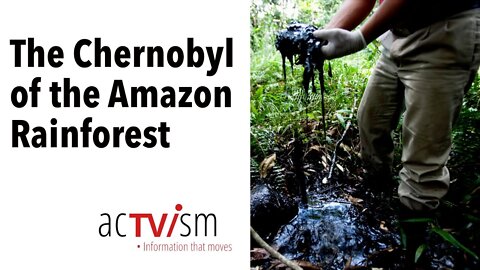 The Chernobyl of the Amazon Rainforest - How Chevron Committed Ecocide | Steven Donziger