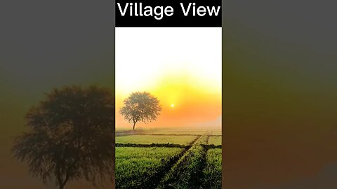 Beautiful Village View || Punjab ❤ #shorts #viralshorts