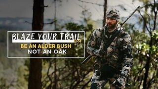 Be An Alder Bush, Not An Oak