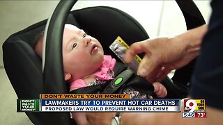 Lawmakers try to prevent hot car deaths