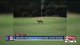 Midtown Tulsa neighbors on alert after reports of coyotes attacking, killing dog