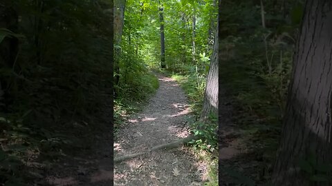 Life walking the trails #outdoors