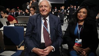 David Attenborough Speaks Out On Climate Change At UN Conference