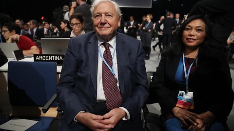 David Attenborough Speaks Out On Climate Change At UN Conference