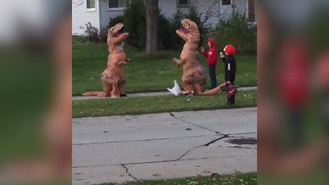 "T-Rex Fights Another T-Rex Over Candy"