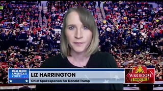Liz Harrington on Trump-Endorsed Primary Winners